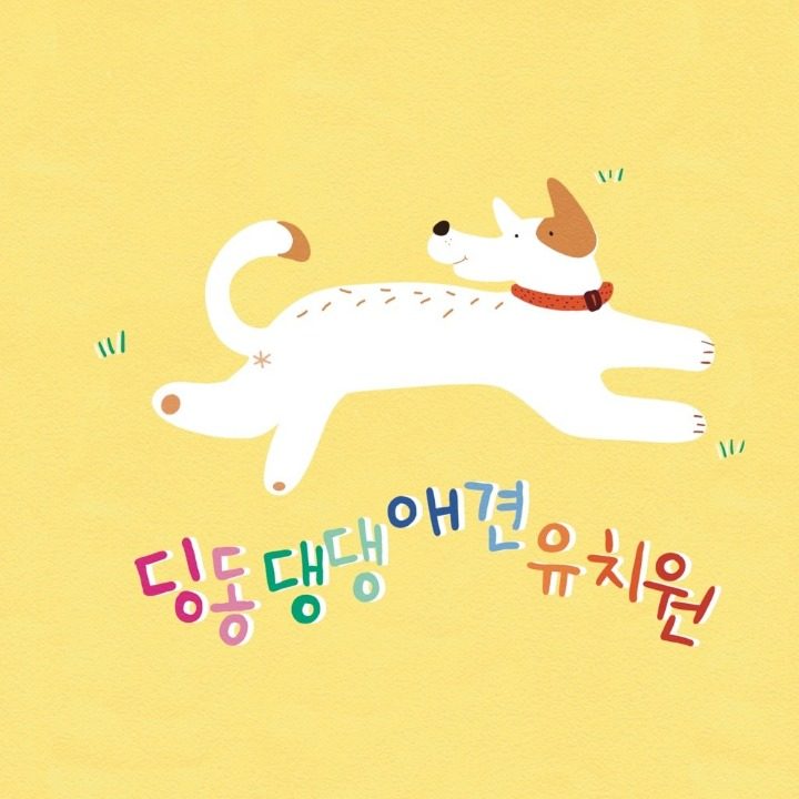 딩동댕댕 애견 유치원