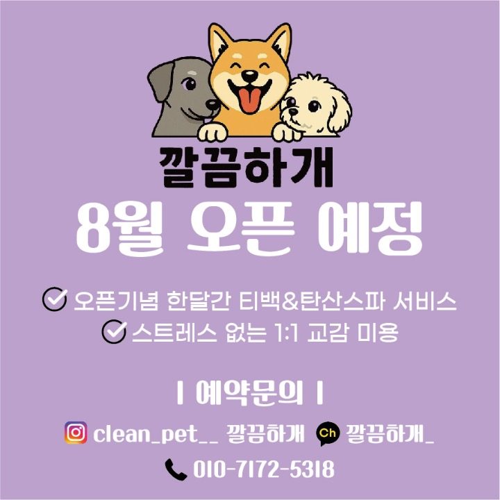 깔끔하개