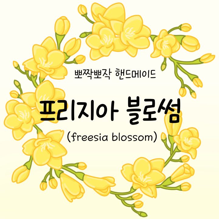프리지아
