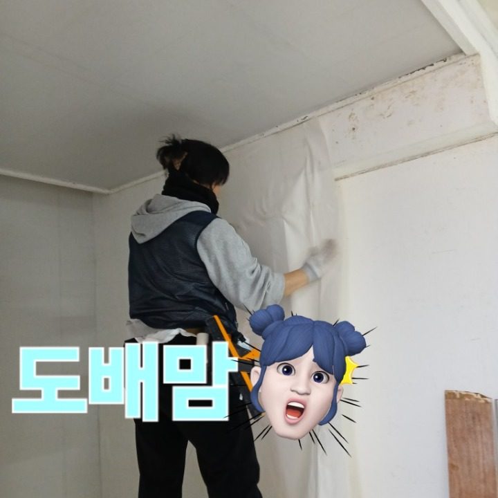 도배장판