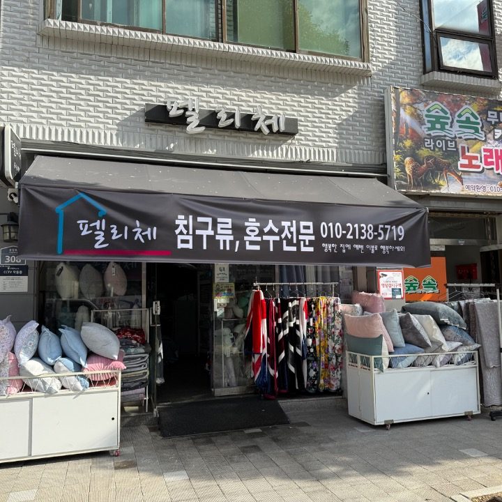 펠리체