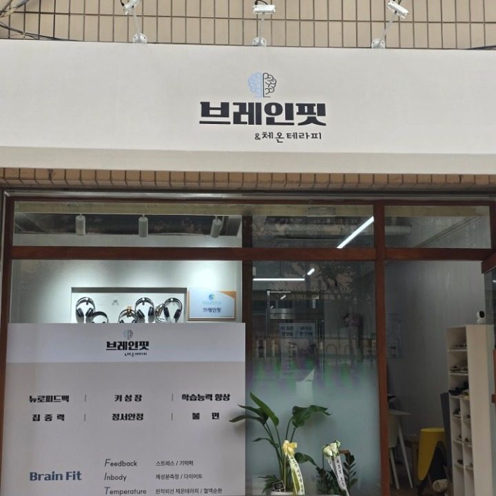 브레인핏 다이어트