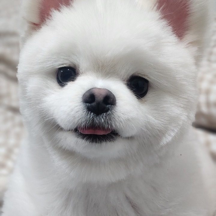 하수펑
