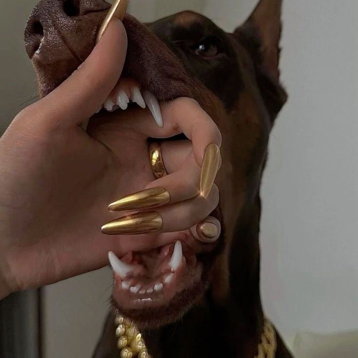 네일로