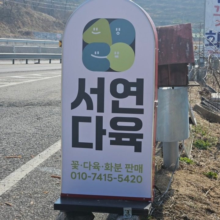 서연다육