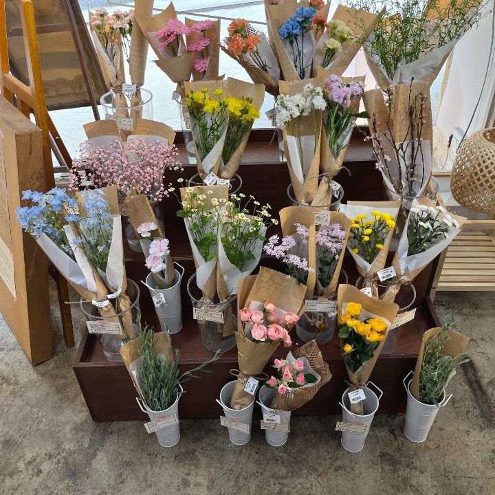 오지구프로젝트