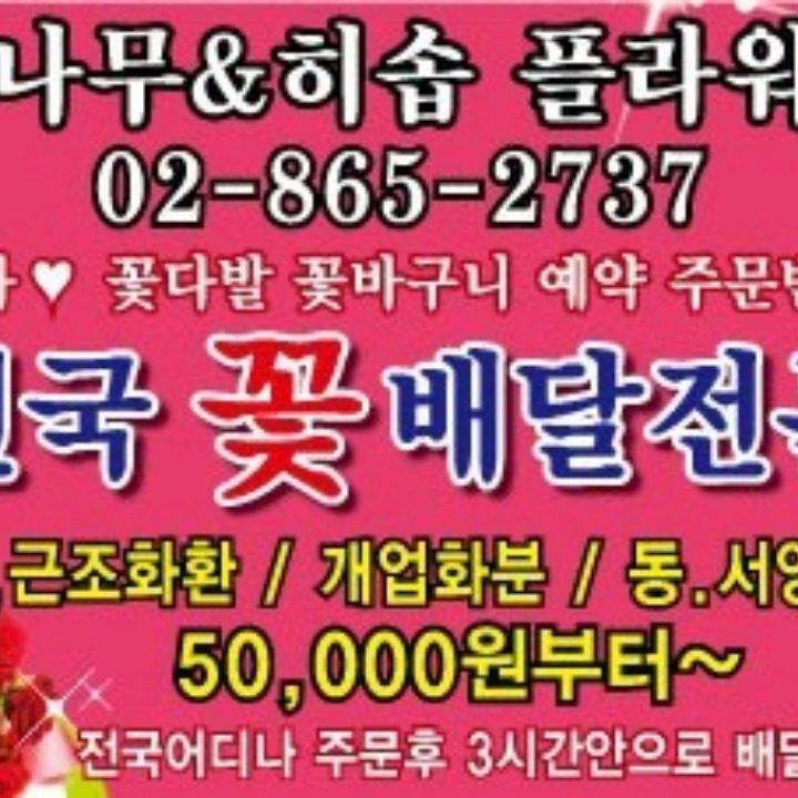히솝플라워