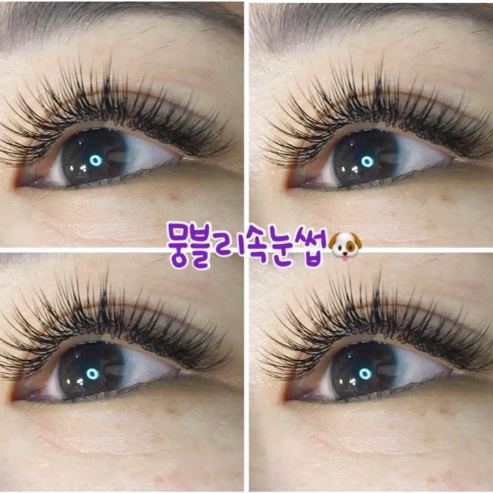 담비속눈썹