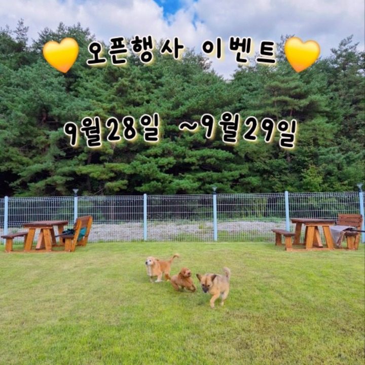 오구커피