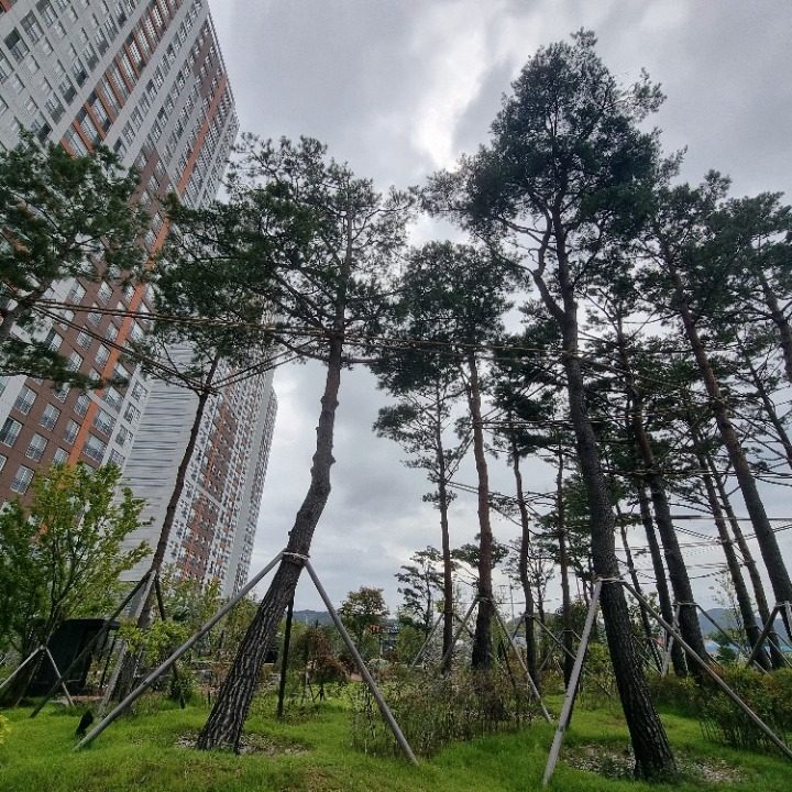 장유역한라비발디 봉선아실장