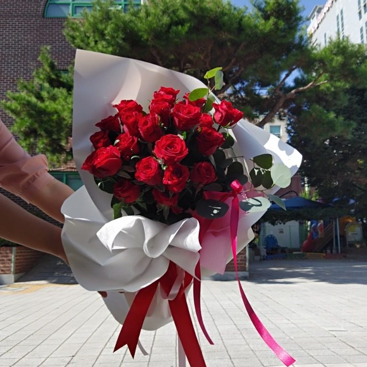 고운햇살플라