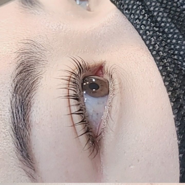 오드리속눈썹