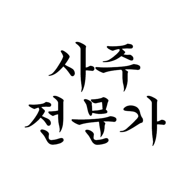 사주 전문가