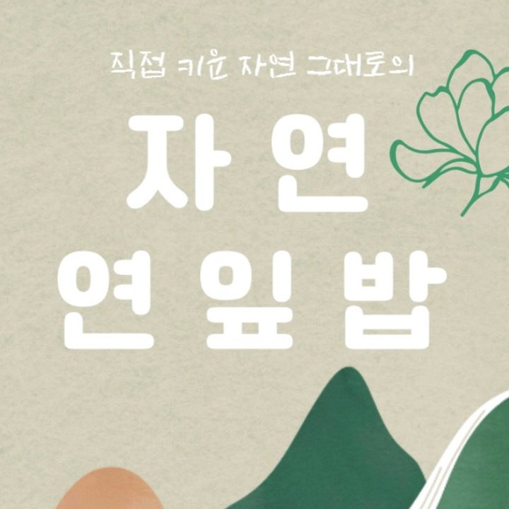 자연연잎밥