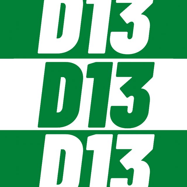 D13