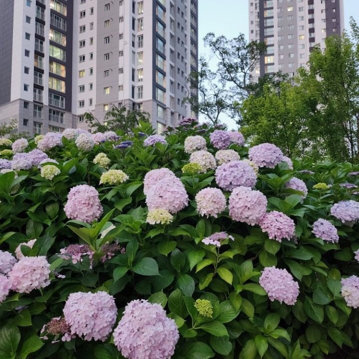 대원동 수학공부방