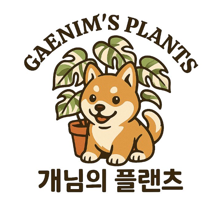 개님의플랜츠