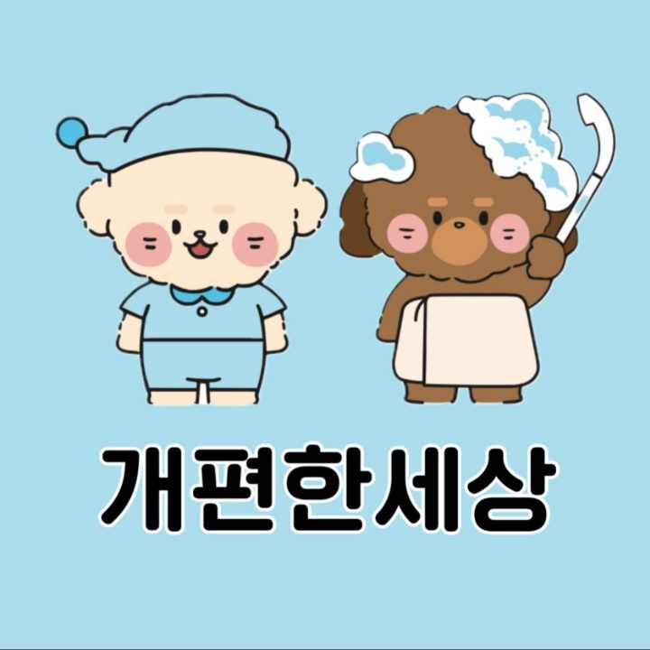 개편한세상