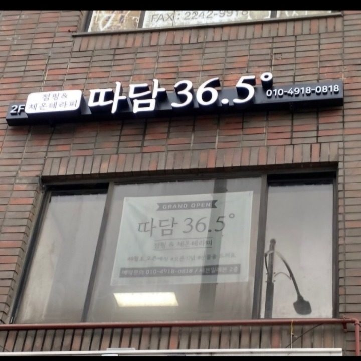 따담36.5