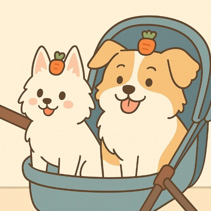 쿠키우리