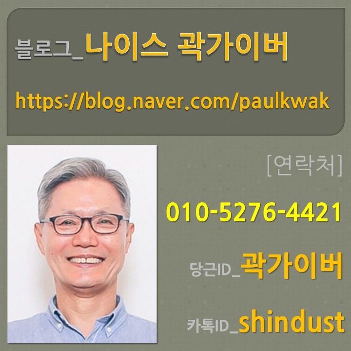나이스 곽가이버
