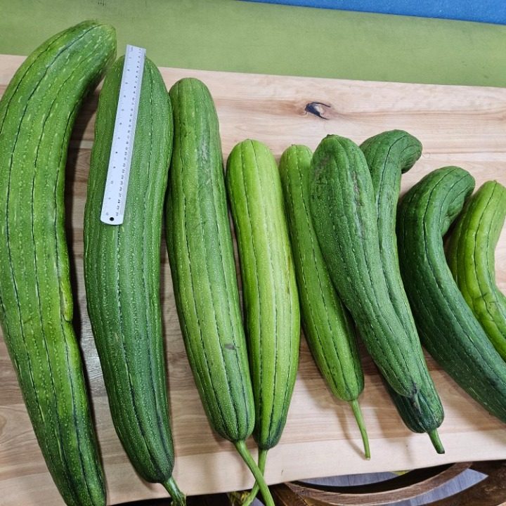 그린영농조합