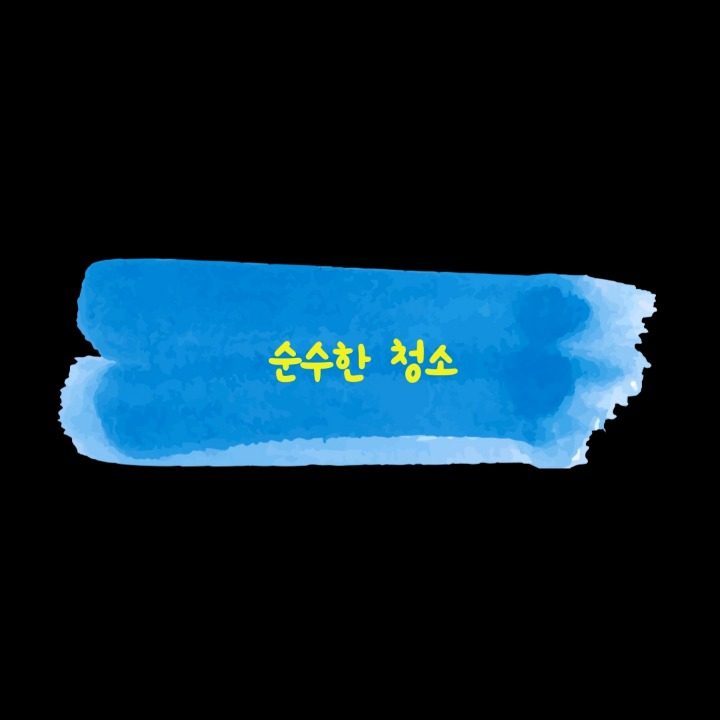 순수한청소