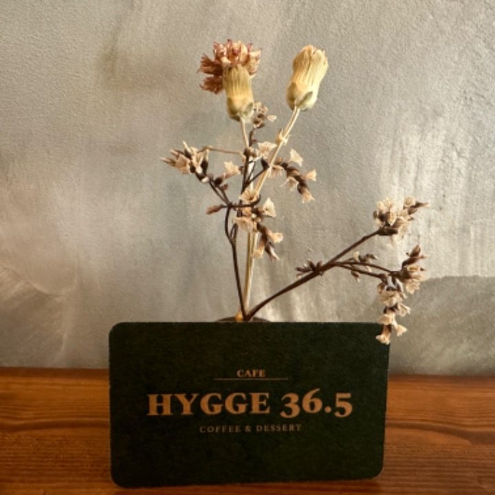 휘게 36.5(HYGGE 36.5)