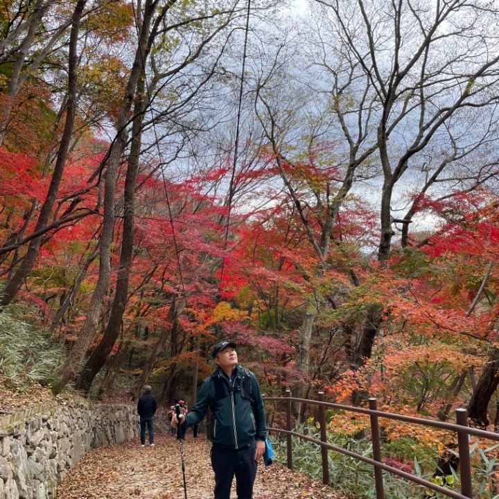 대전 보라이삿짐