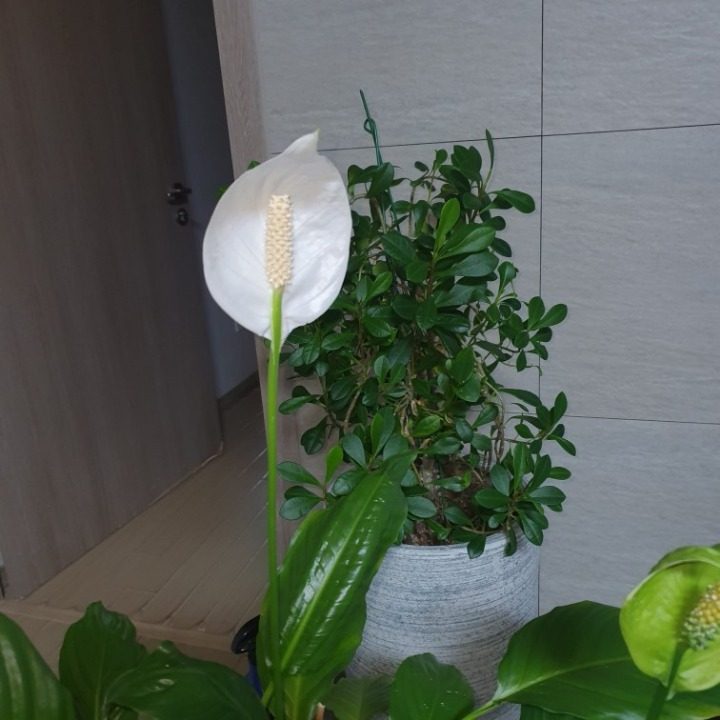 제이에스 시스템
