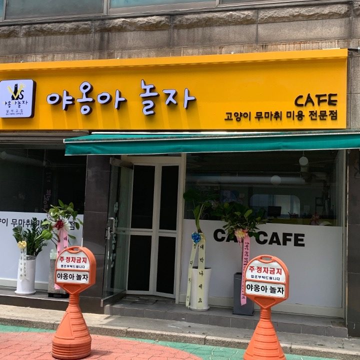 야옹아놀자