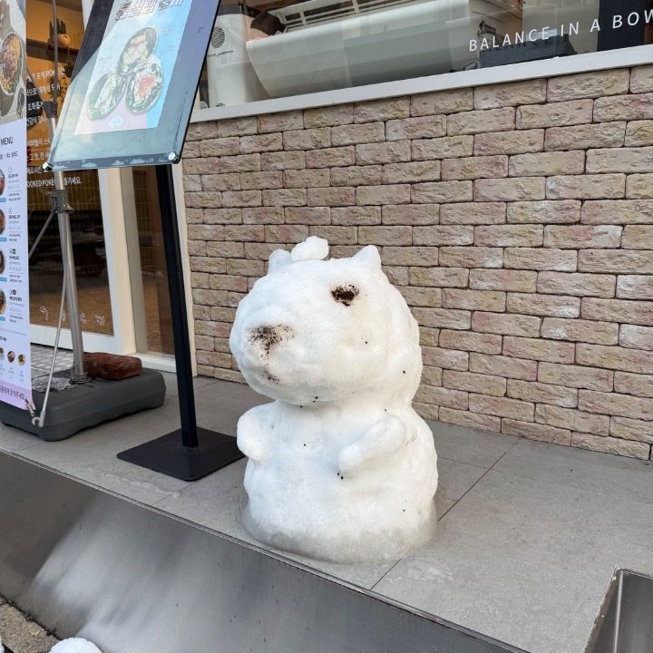 방송댄스 및 오디션입시안무레슨