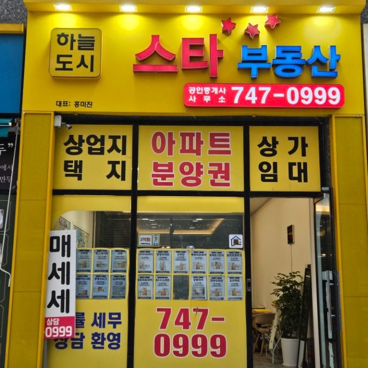 하늘도시스타부동산공인중개사사무소