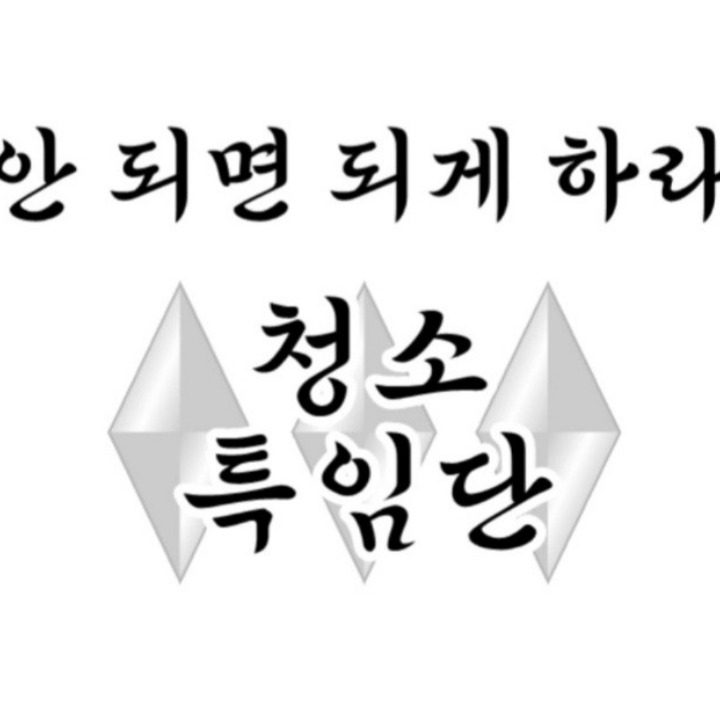 청소 특임단