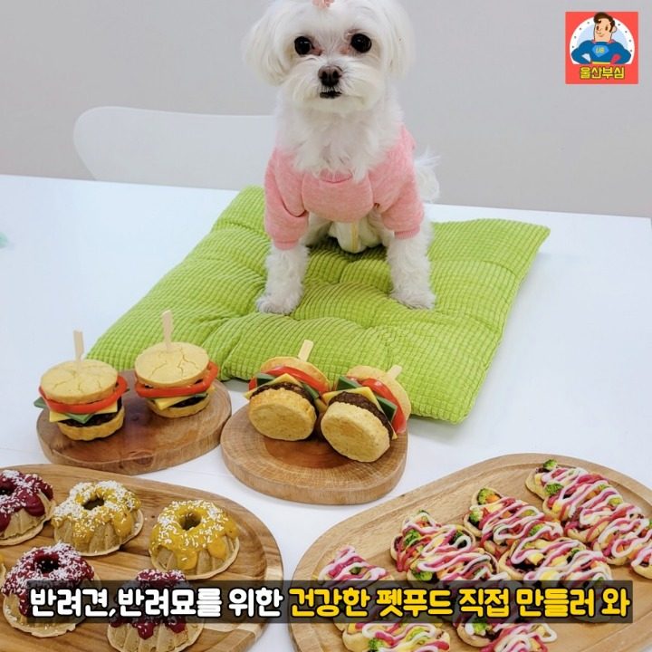 댕냥밥상 강아지 고양이 수제간식 옷