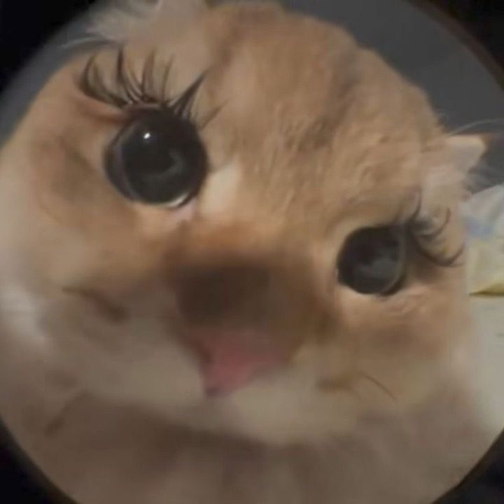 합정 속눈썹