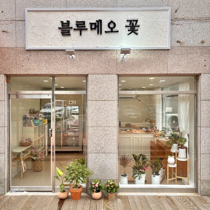 블루메오