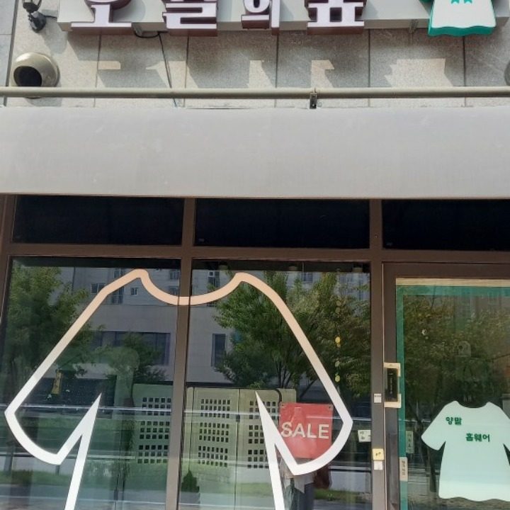 오월의숲