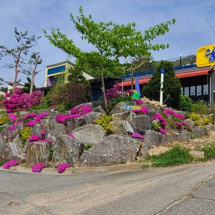 카페��쉼