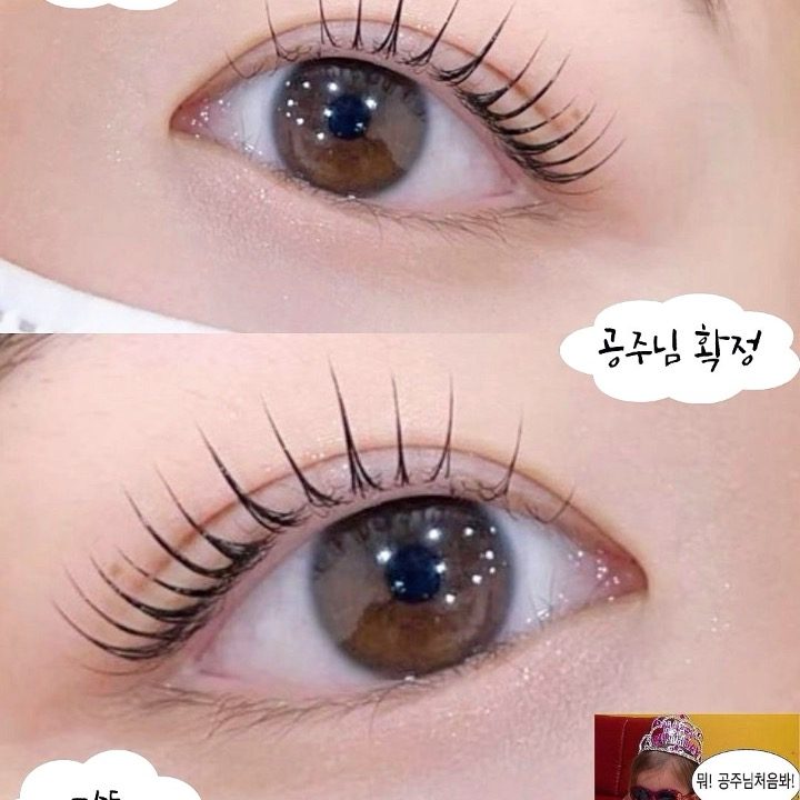 일루래쉬