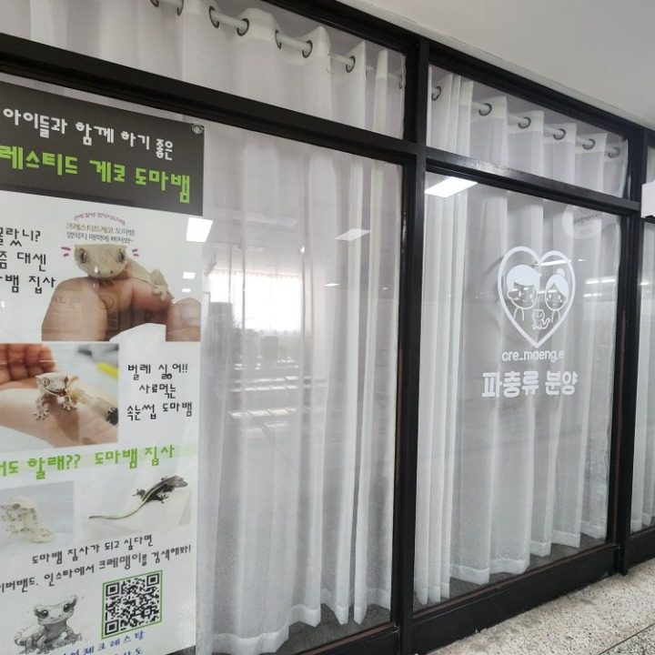 크레맹이