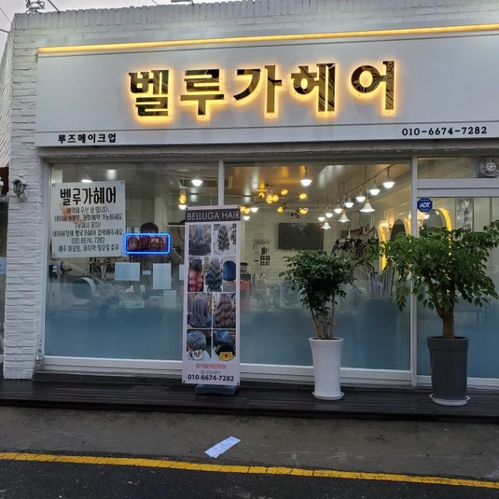 벨루가헤어