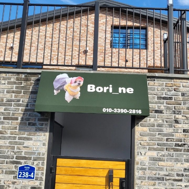 보리네집