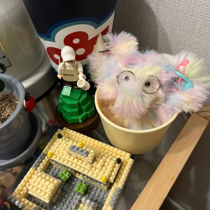 클라임포스