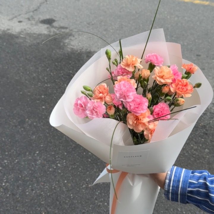 세이플레르