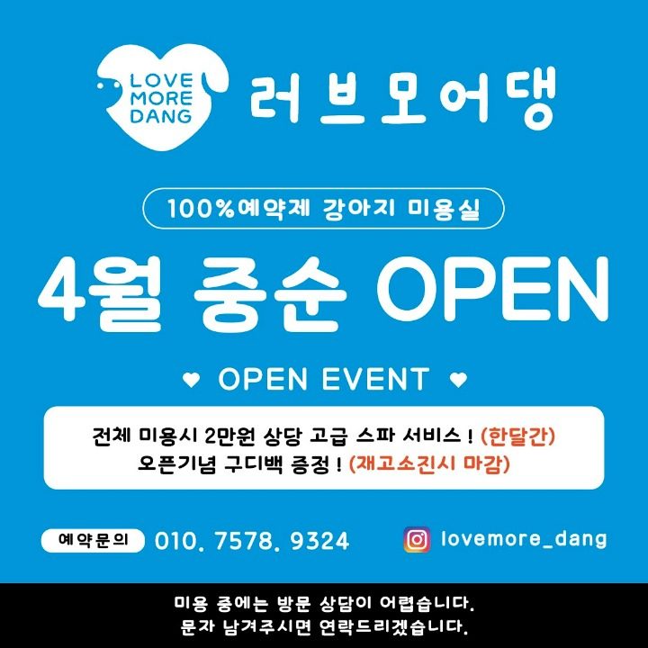 강아지미용실