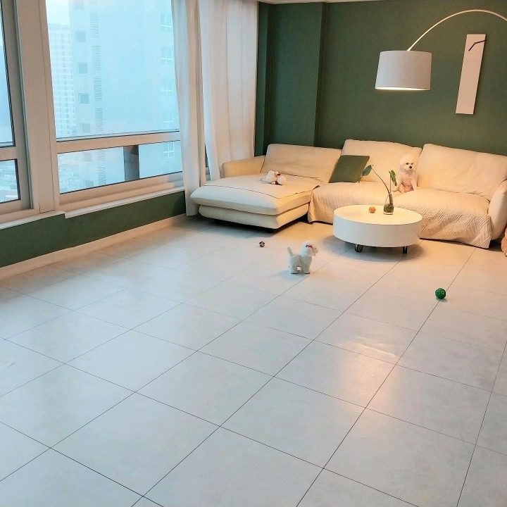 반려동물관리사가정집호텔링