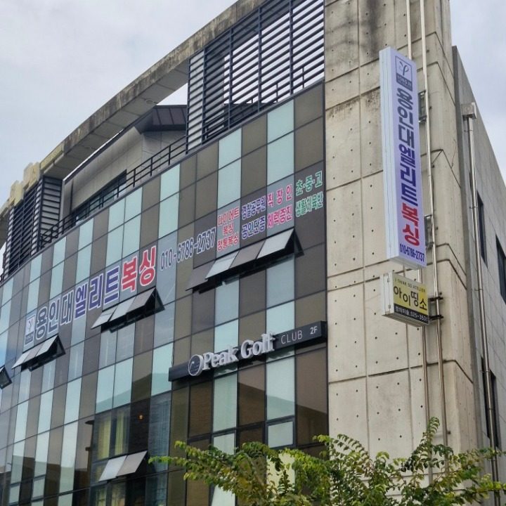 용인대엘리트복싱