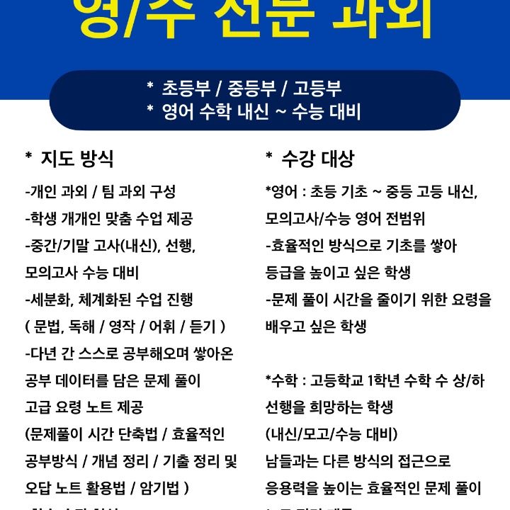 영수 전문 과외