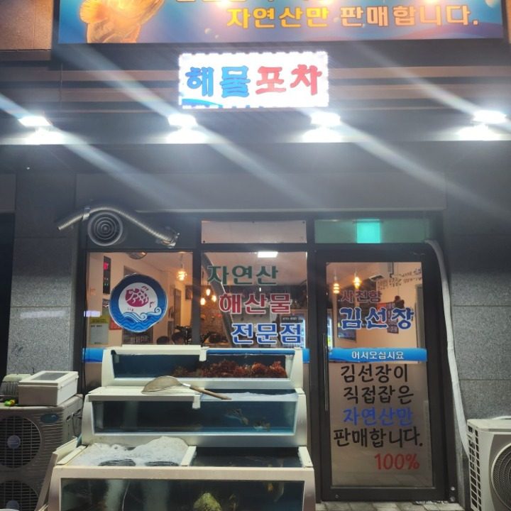 사천항김선장